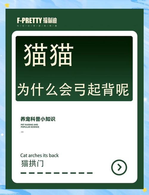 猫咪弓背是什么意思-猫咪弓背是干嘛-第1张图片 猫咪弓背是什么意思-猫咪弓背是干嘛-第1张图片
