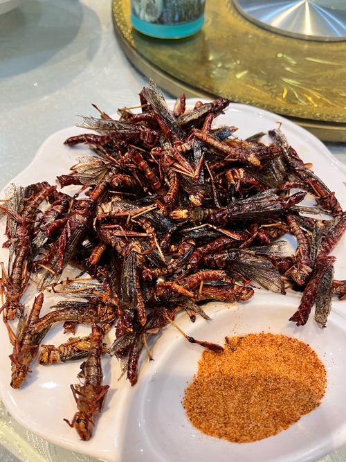 刚出生的蚂蚱吃什么食物-刚出生的蚂蚱吃什么食物呢-第2张图片 刚出生的蚂蚱吃什么食物-刚出生的蚂蚱吃什么食物呢-第2张图片