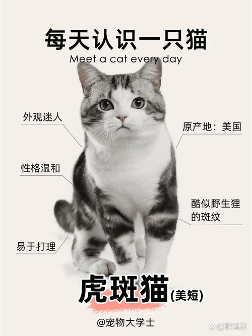 猫贩子-猫贩子一般判几年