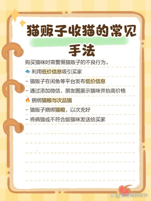 猫贩子-猫贩子一般判几年-第5张图片 猫贩子-猫贩子一般判几年-第5张图片
