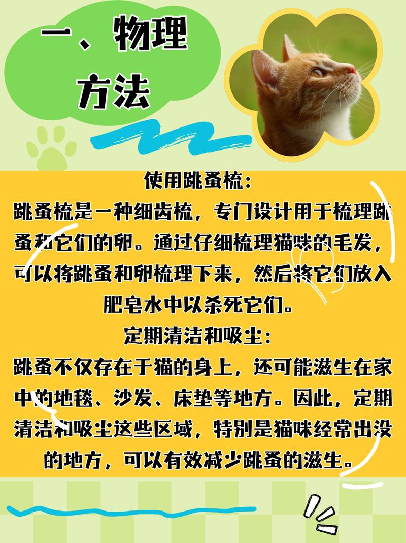 猫贩子-猫贩子一般判几年-第7张图片 猫贩子-猫贩子一般判几年-第7张图片