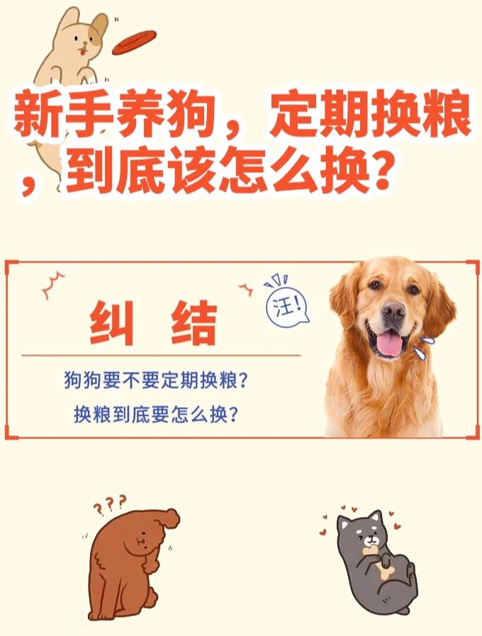 狗粮多久换一次比较好-狗粮多久吃完比较好