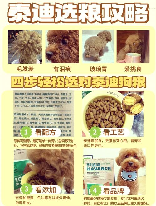 狗粮多久换一次比较好-狗粮多久吃完比较好-第3张图片 狗粮多久换一次比较好-狗粮多久吃完比较好-第3张图片