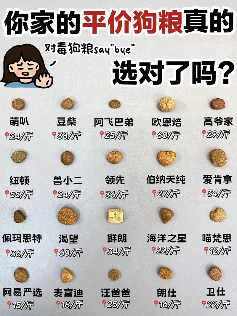 狗粮多久换一次比较好-狗粮多久吃完比较好-第4张图片 狗粮多久换一次比较好-狗粮多久吃完比较好-第4张图片