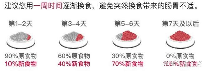 狗粮多久换一次比较好-狗粮多久吃完比较好-第9张图片 狗粮多久换一次比较好-狗粮多久吃完比较好-第9张图片