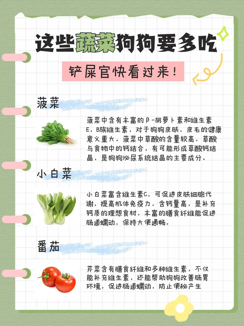 作为消费者“狗能不能吃芹菜”你不能不知道-第3张图片 作为消费者“狗能不能吃芹菜”你不能不知道-第3张图片