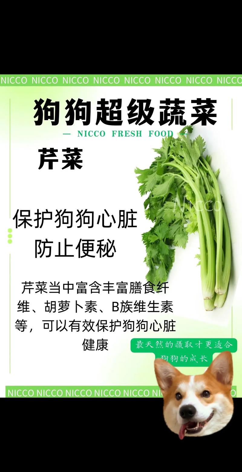 作为消费者“狗能不能吃芹菜”你不能不知道-第4张图片 作为消费者“狗能不能吃芹菜”你不能不知道-第4张图片