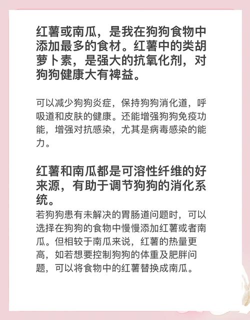 狗狗可以吃南瓜吗,狗狗可以吃南瓜吗怎么吃-第4张图片 狗狗可以吃南瓜吗,狗狗可以吃南瓜吗怎么吃-第4张图片