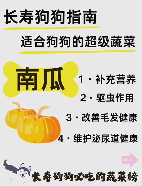 狗狗可以吃南瓜吗,狗狗可以吃南瓜吗怎么吃-第7张图片 狗狗可以吃南瓜吗,狗狗可以吃南瓜吗怎么吃-第7张图片