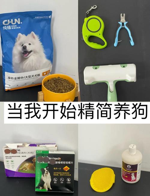 作为消费者“边境牧羊犬一个月花费多少钱”你不能不知道-第5张图片 作为消费者“边境牧羊犬一个月花费多少钱”你不能不知道-第5张图片