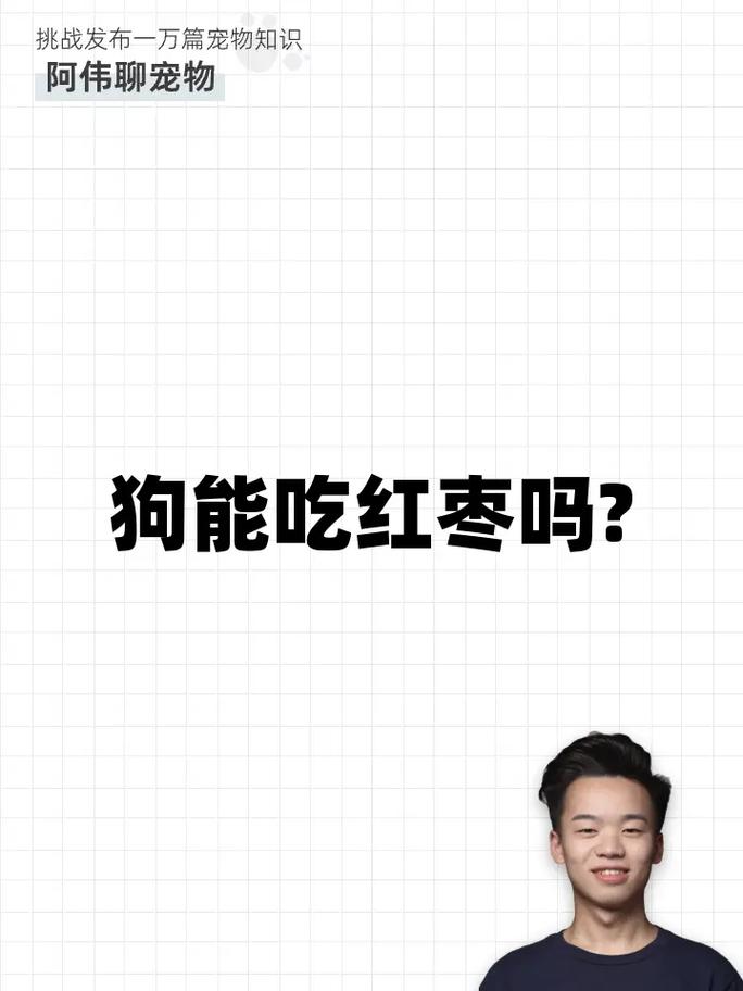 狗狗能吃大枣吗-狗狗能吃大枣吗会死吗-第2张图片 狗狗能吃大枣吗-狗狗能吃大枣吗会死吗-第2张图片