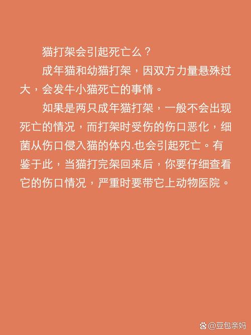 解析“猫咪打架的声音”你不知道的事-第4张图片 解析“猫咪打架的声音”你不知道的事-第4张图片