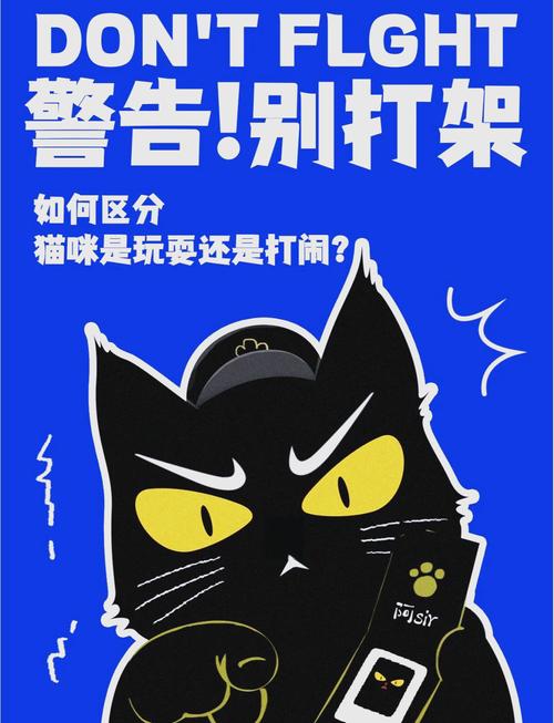 解析“猫咪打架的声音”你不知道的事-第5张图片 解析“猫咪打架的声音”你不知道的事-第5张图片