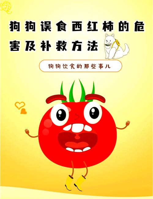 狗子能吃柿子吗/狗子能吃柿子吗会中毒吗-第1张图片 狗子能吃柿子吗/狗子能吃柿子吗会中毒吗-第1张图片