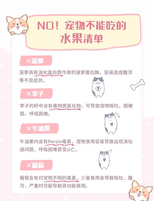 狗子能吃柿子吗/狗子能吃柿子吗会中毒吗-第4张图片 狗子能吃柿子吗/狗子能吃柿子吗会中毒吗-第4张图片