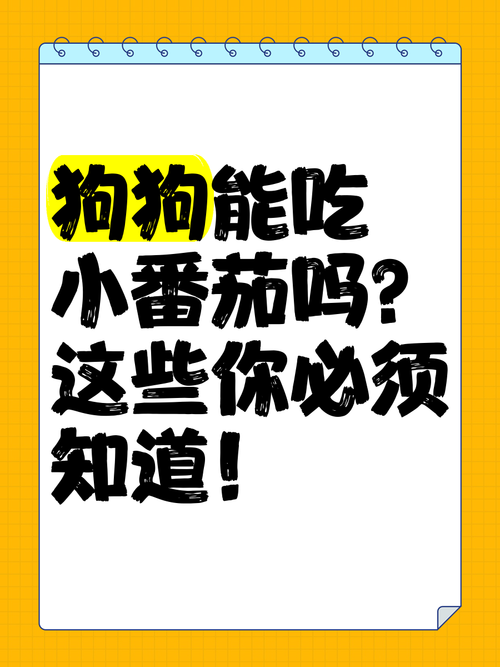 狗子能吃柿子吗/狗子能吃柿子吗会中毒吗-第10张图片 狗子能吃柿子吗/狗子能吃柿子吗会中毒吗-第10张图片