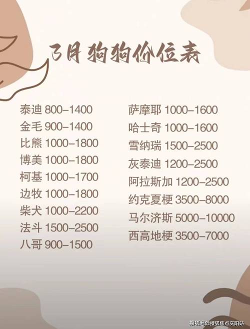 柴犬的费用与品种-柴犬的费用排名-第2张图片 柴犬的费用与品种-柴犬的费用排名-第2张图片