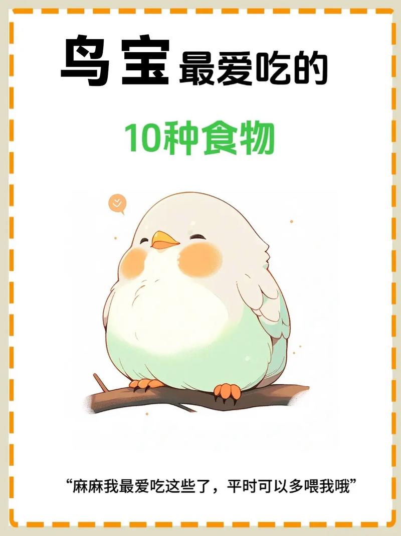 解析“牡丹鹦鹉吃什么比较好?”你不知道的事
