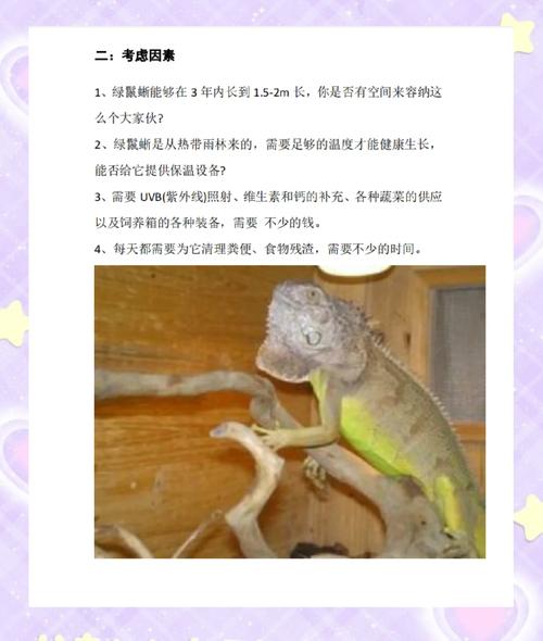 解析“绿鬣蜥吃什么好”你不知道的事-第9张图片 解析“绿鬣蜥吃什么好”你不知道的事-第9张图片