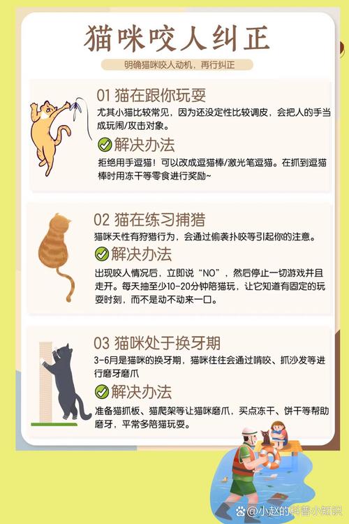 猫咪要咬人怎么办-猫咪要咬人怎么办才能不咬-第2张图片 猫咪要咬人怎么办-猫咪要咬人怎么办才能不咬-第2张图片