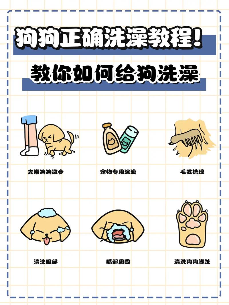 给狗狗洗澡的正确方法/狗狗洗澡的正确方法和注意事项
