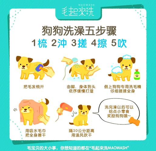 给狗狗洗澡的正确方法/狗狗洗澡的正确方法和注意事项-第3张图片 给狗狗洗澡的正确方法/狗狗洗澡的正确方法和注意事项-第3张图片