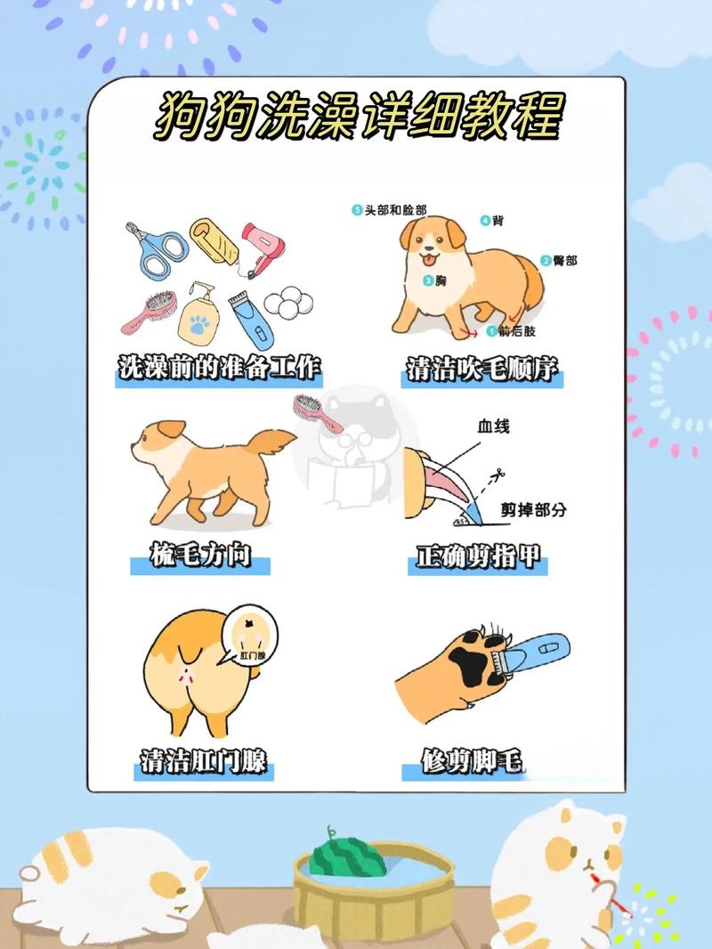 给狗狗洗澡的正确方法/狗狗洗澡的正确方法和注意事项-第7张图片 给狗狗洗澡的正确方法/狗狗洗澡的正确方法和注意事项-第7张图片