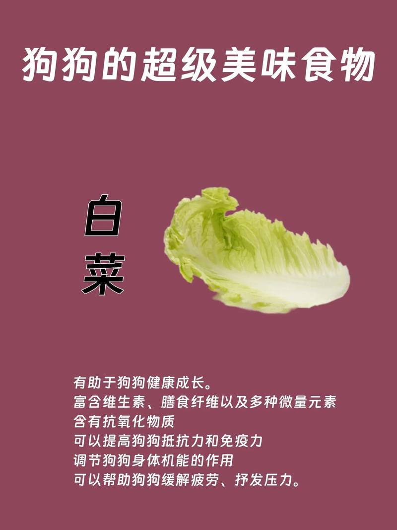 作为消费者“狗狗能吃白菜吗”你不能不知道-第1张图片 作为消费者“狗狗能吃白菜吗”你不能不知道-第1张图片