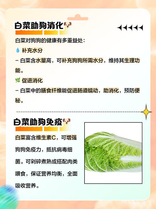 作为消费者“狗狗能吃白菜吗”你不能不知道-第5张图片 作为消费者“狗狗能吃白菜吗”你不能不知道-第5张图片