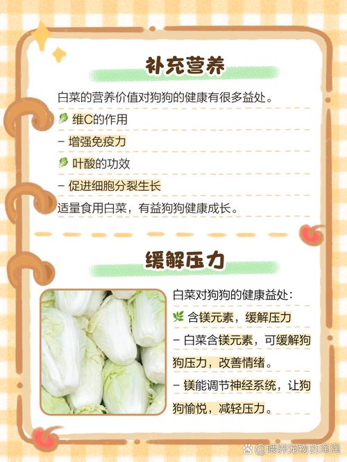 作为消费者“狗狗能吃白菜吗”你不能不知道-第7张图片 作为消费者“狗狗能吃白菜吗”你不能不知道-第7张图片