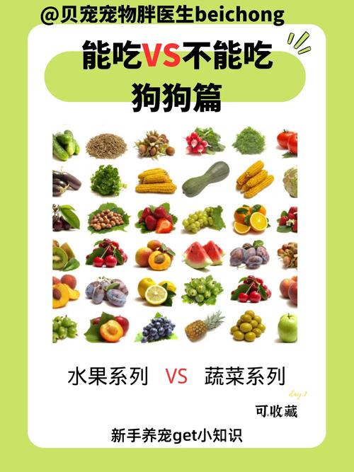 作为消费者“狗狗能吃白菜吗”你不能不知道-第8张图片 作为消费者“狗狗能吃白菜吗”你不能不知道-第8张图片