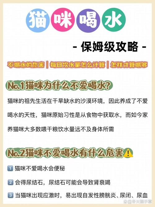 解析“猫可以几天不喝水”你不知道的事-第2张图片 解析“猫可以几天不喝水”你不知道的事-第2张图片
