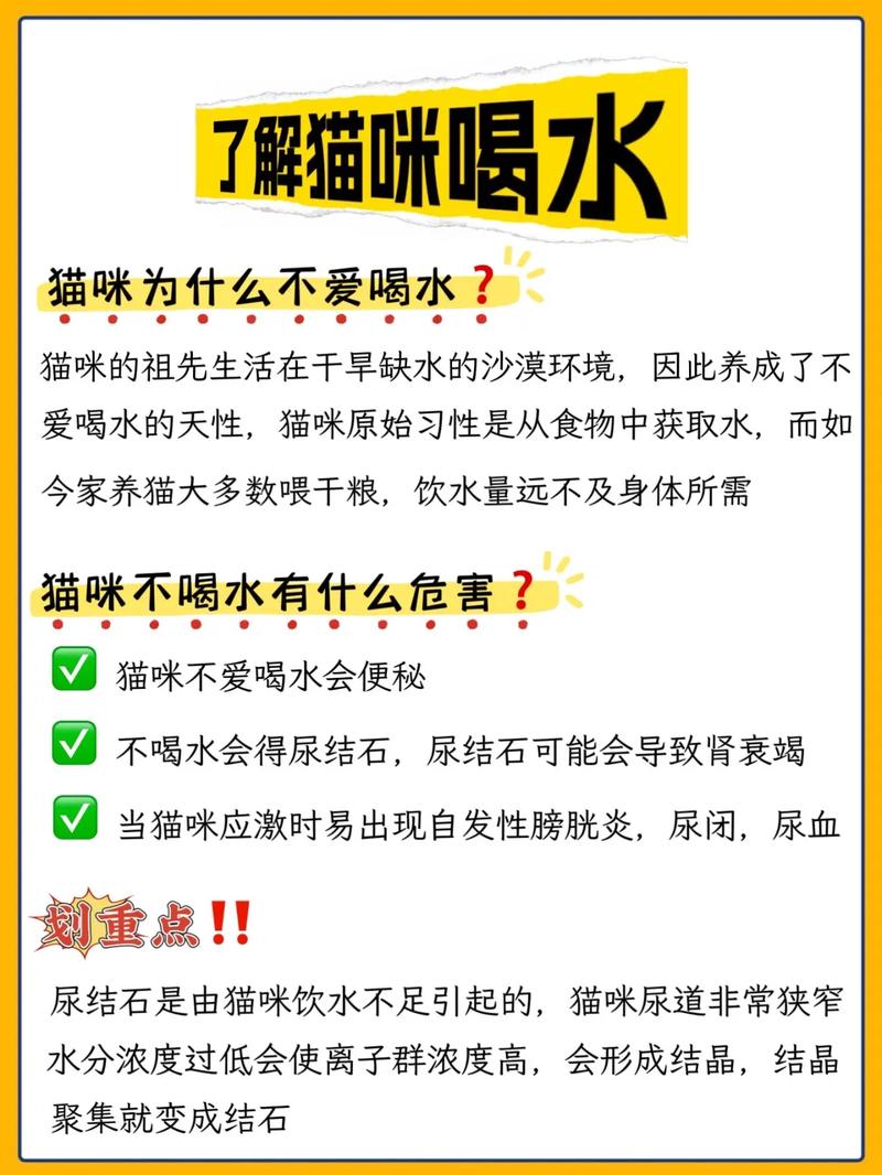 解析“猫可以几天不喝水”你不知道的事-第5张图片 解析“猫可以几天不喝水”你不知道的事-第5张图片