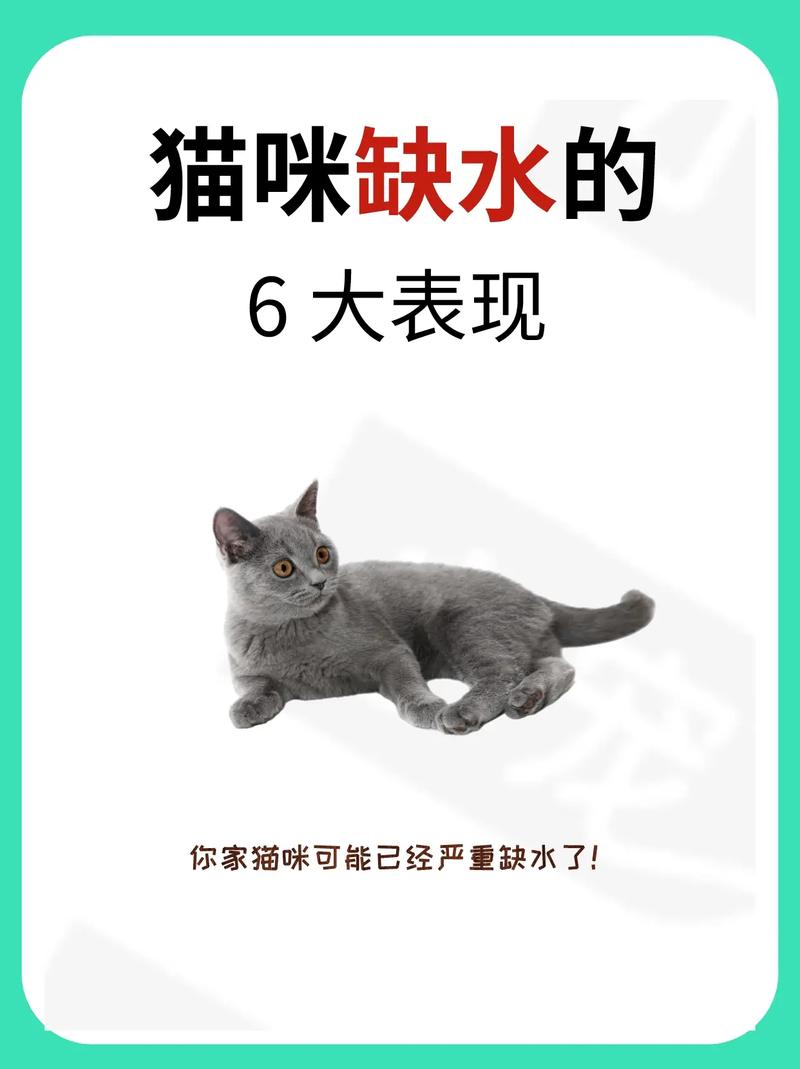 解析“猫可以几天不喝水”你不知道的事-第6张图片 解析“猫可以几天不喝水”你不知道的事-第6张图片