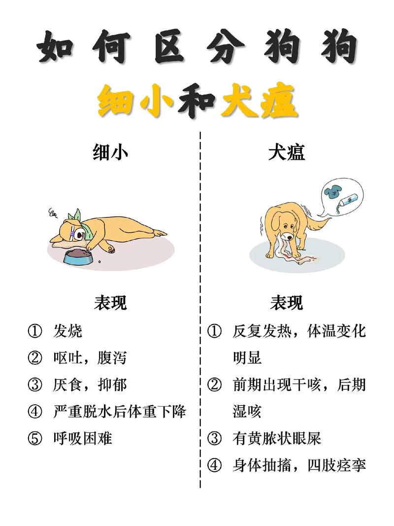 狗狗犬瘟前期症状-狗狗犬瘟前期症状图片-第4张图片 狗狗犬瘟前期症状-狗狗犬瘟前期症状图片-第4张图片