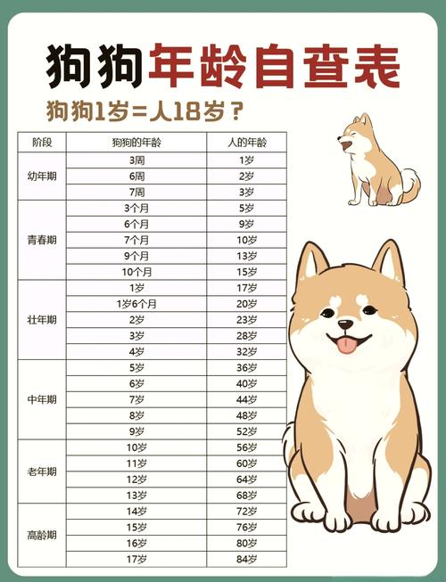 解析“狗狗几岁没有生育能力”你不知道的事-第1张图片 解析“狗狗几岁没有生育能力”你不知道的事-第1张图片