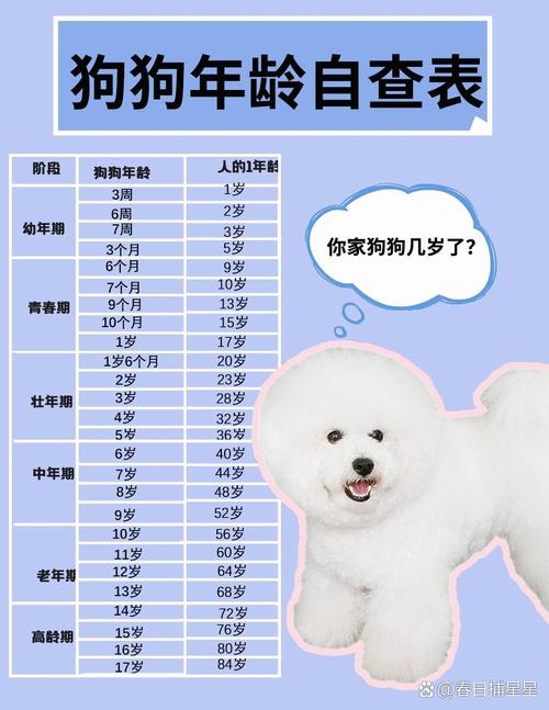解析“狗狗几岁没有生育能力”你不知道的事-第2张图片 解析“狗狗几岁没有生育能力”你不知道的事-第2张图片