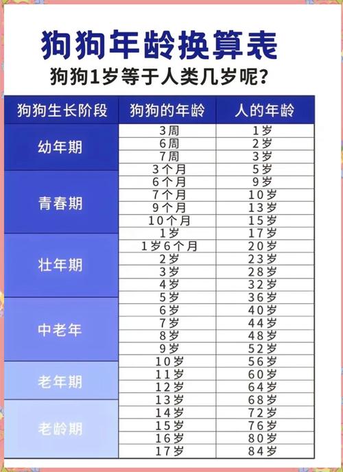 解析“狗狗几岁没有生育能力”你不知道的事-第4张图片 解析“狗狗几岁没有生育能力”你不知道的事-第4张图片