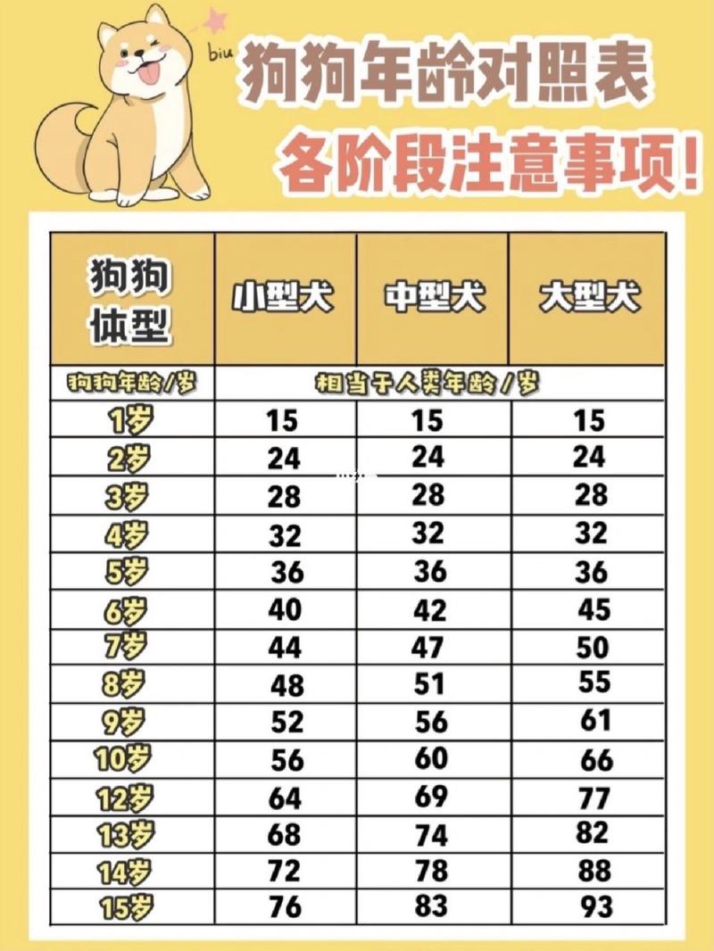 解析“狗狗几岁没有生育能力”你不知道的事-第5张图片 解析“狗狗几岁没有生育能力”你不知道的事-第5张图片