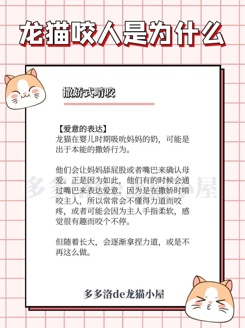 解析“龙猫咬人吗”你不知道的事-第1张图片 解析“龙猫咬人吗”你不知道的事-第1张图片