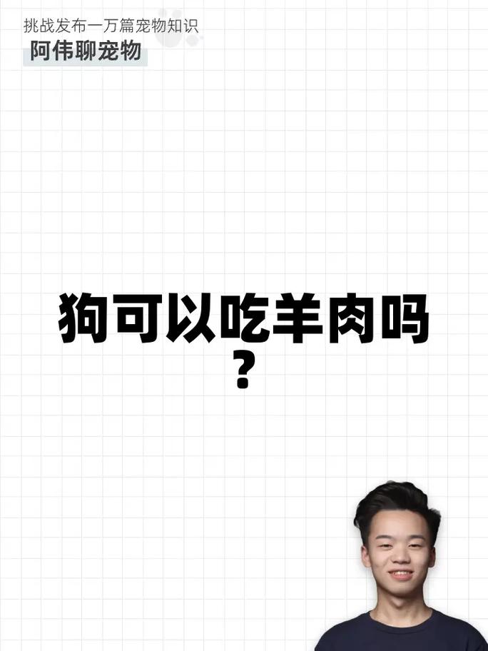 作为消费者“小狗能吃羊肉吗”你不能不知道-第1张图片 作为消费者“小狗能吃羊肉吗”你不能不知道-第1张图片