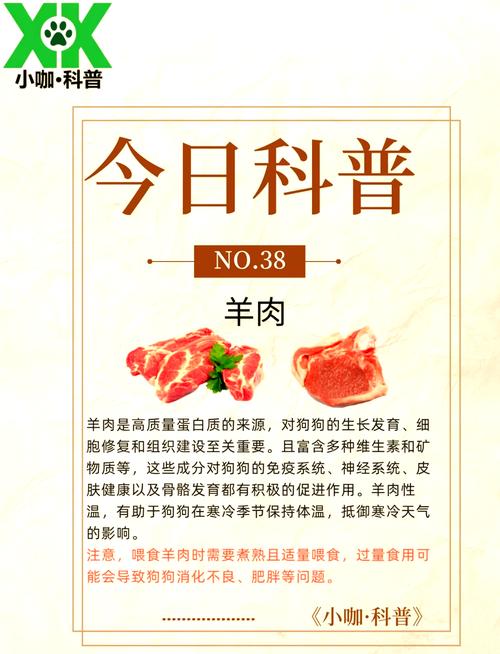 作为消费者“小狗能吃羊肉吗”你不能不知道-第4张图片 作为消费者“小狗能吃羊肉吗”你不能不知道-第4张图片