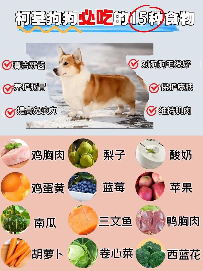 作为消费者“小狗能吃羊肉吗”你不能不知道-第6张图片 作为消费者“小狗能吃羊肉吗”你不能不知道-第6张图片