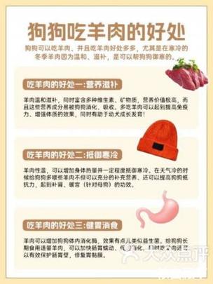 作为消费者“小狗能吃羊肉吗”你不能不知道-第9张图片 作为消费者“小狗能吃羊肉吗”你不能不知道-第9张图片