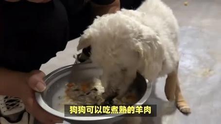 作为消费者“小狗能吃羊肉吗”你不能不知道-第10张图片 作为消费者“小狗能吃羊肉吗”你不能不知道-第10张图片