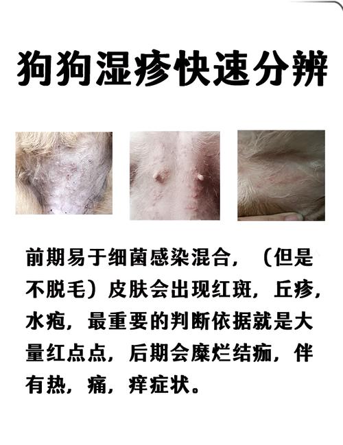 作为消费者“狗狗身上一直痒怎么办”你不能不知道