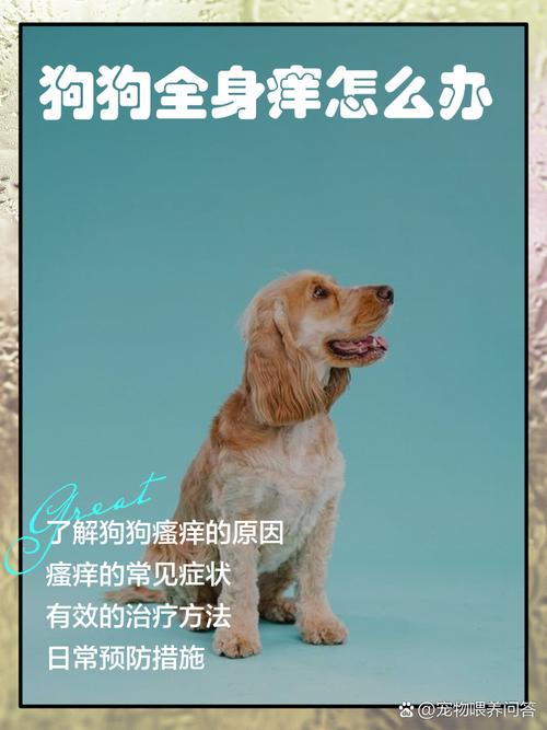 作为消费者“狗狗身上一直痒怎么办”你不能不知道-第3张图片 作为消费者“狗狗身上一直痒怎么办”你不能不知道-第3张图片