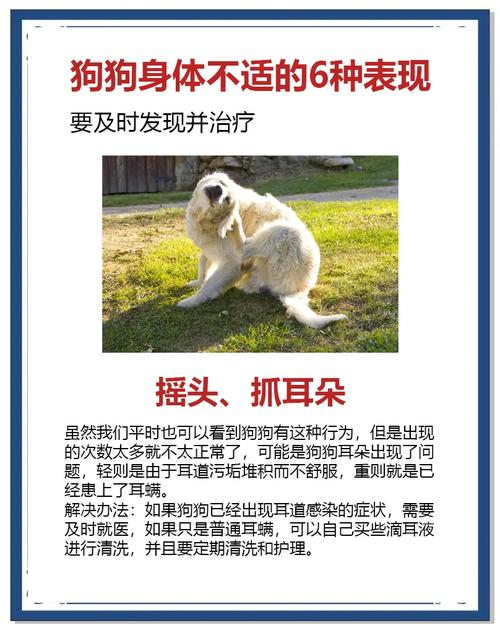 作为消费者“狗狗身上一直痒怎么办”你不能不知道-第5张图片 作为消费者“狗狗身上一直痒怎么办”你不能不知道-第5张图片