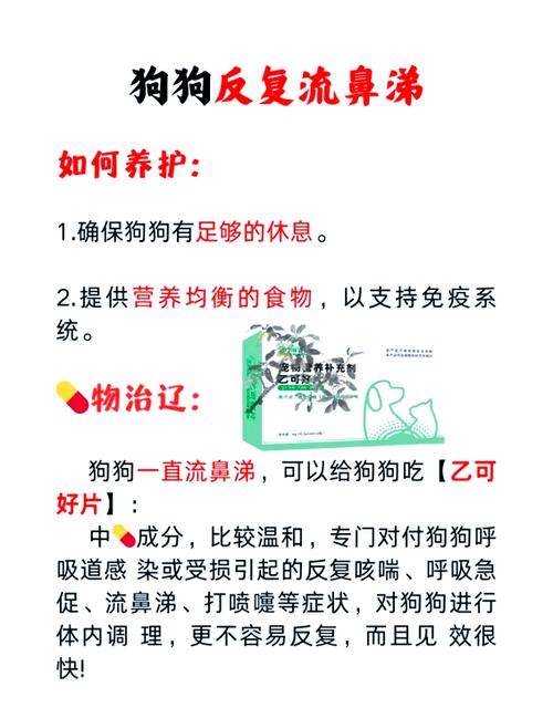 解析“夏天狗狗感冒了怎么办”你不知道的事-第2张图片 解析“夏天狗狗感冒了怎么办”你不知道的事-第2张图片