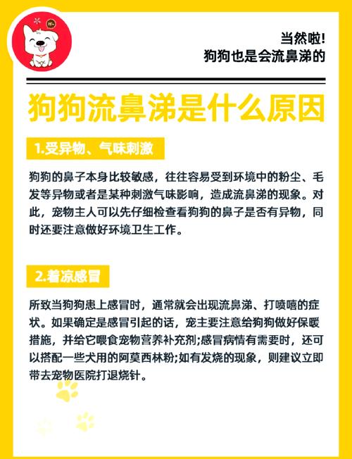 解析“夏天狗狗感冒了怎么办”你不知道的事-第6张图片 解析“夏天狗狗感冒了怎么办”你不知道的事-第6张图片